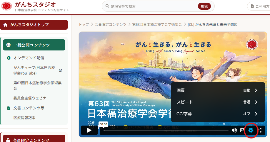 画質・再生速度・字幕の設定